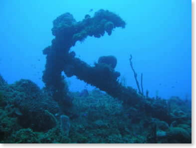 Spanish Anchor at Jamaica Scuba Divers